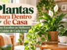 Plantas para Dentro de Casa