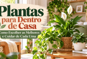 Plantas para Dentro de Casa